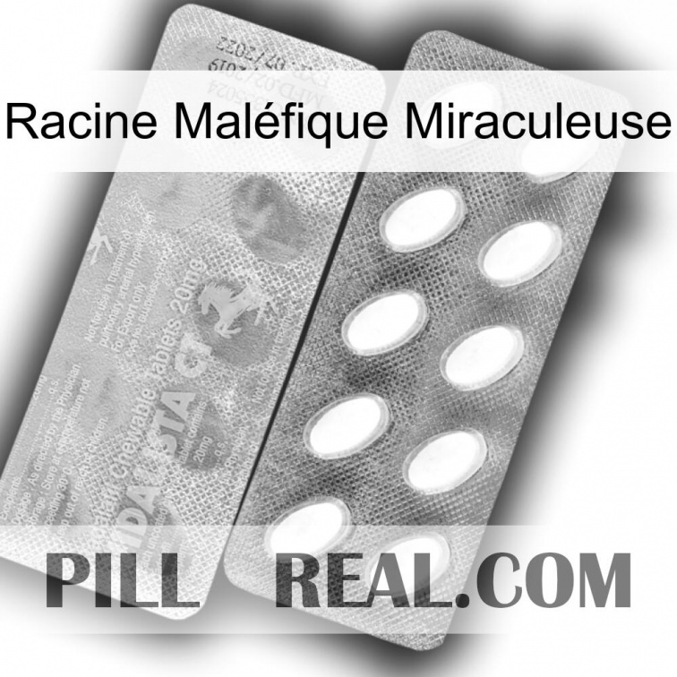 Racine Maléfique Miraculeuse 42